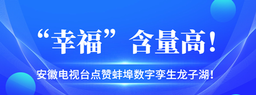 ?“幸?！焙扛?，安徽電視臺點贊蚌埠數(shù)字孿生龍子湖！